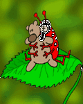 pic for Bug Hug